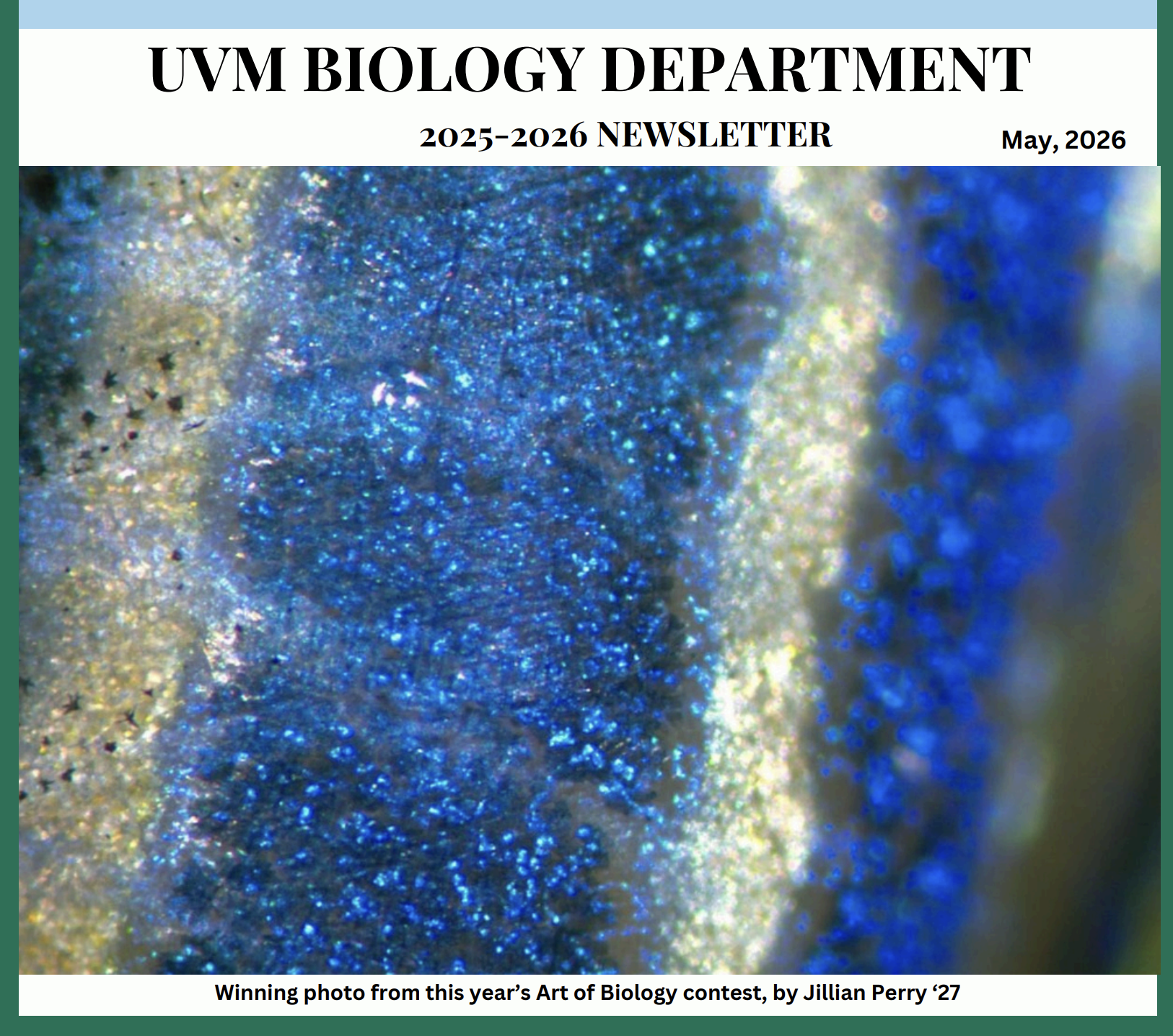 Newsletter cover