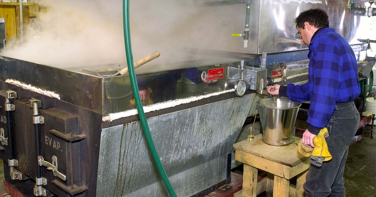 What's Buzzing Proctor Maple Research Center Celebrates 75th Anniversary