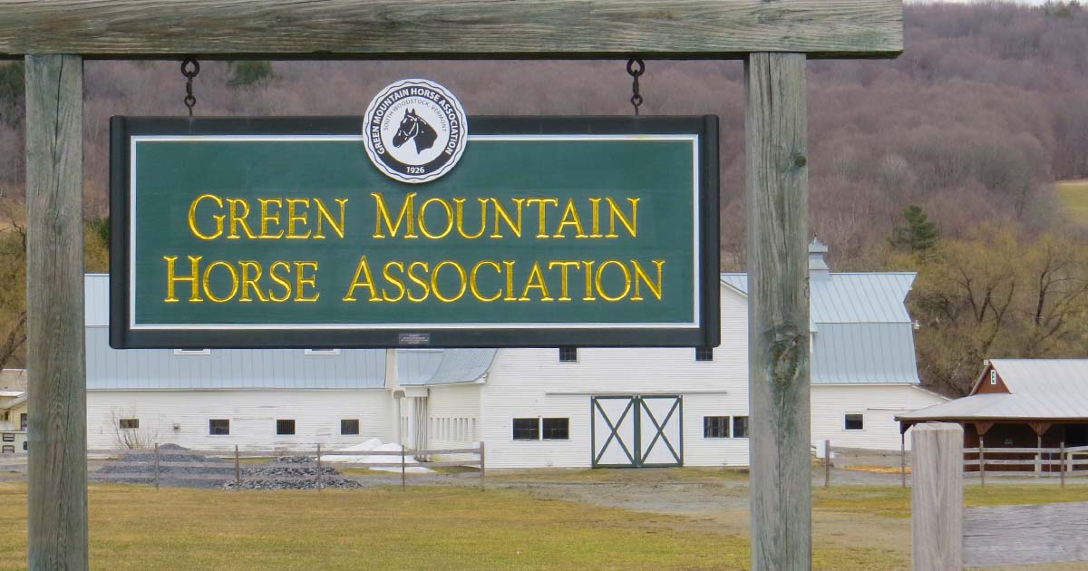 What's Buzzing Rohan & Sorrell Planning Members for VT Horse Council Summit