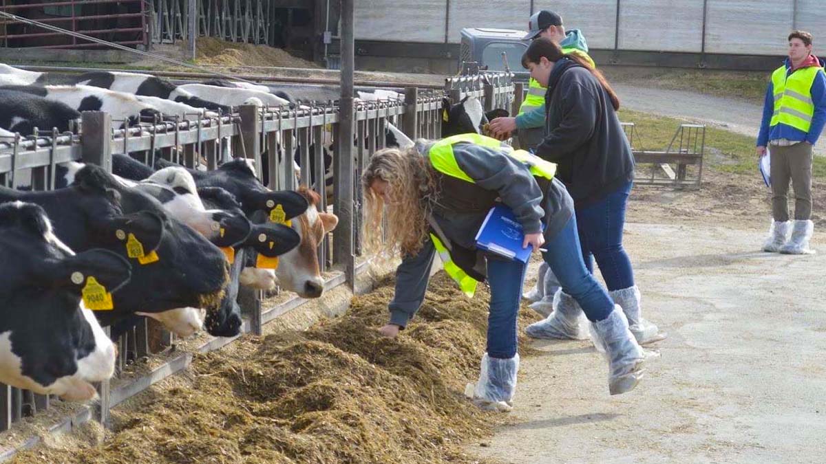 What's Buzzing UVM Students Compete in 21st Annual Dairy Challenge