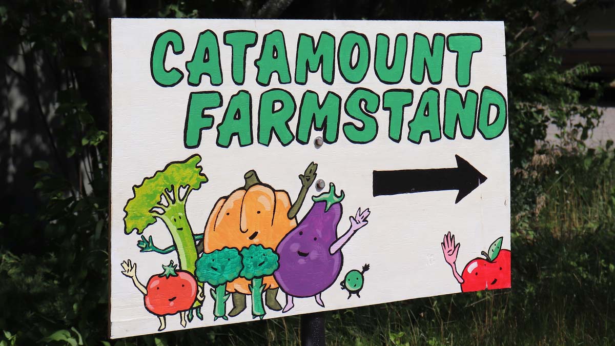 What's Buzzing 2024 UVM Catamount Farm CSA Registration is Now Open