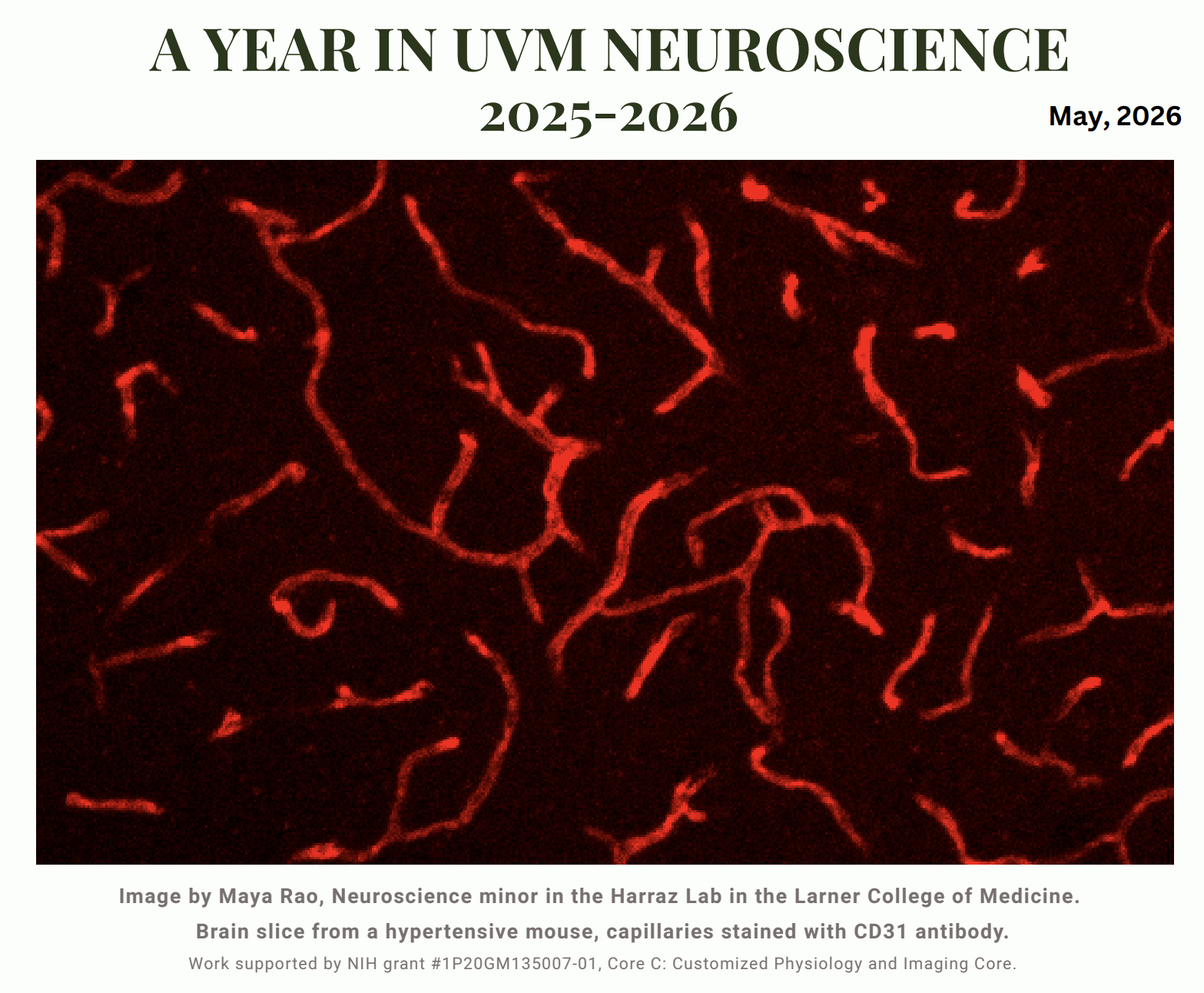 Newsletter cover
