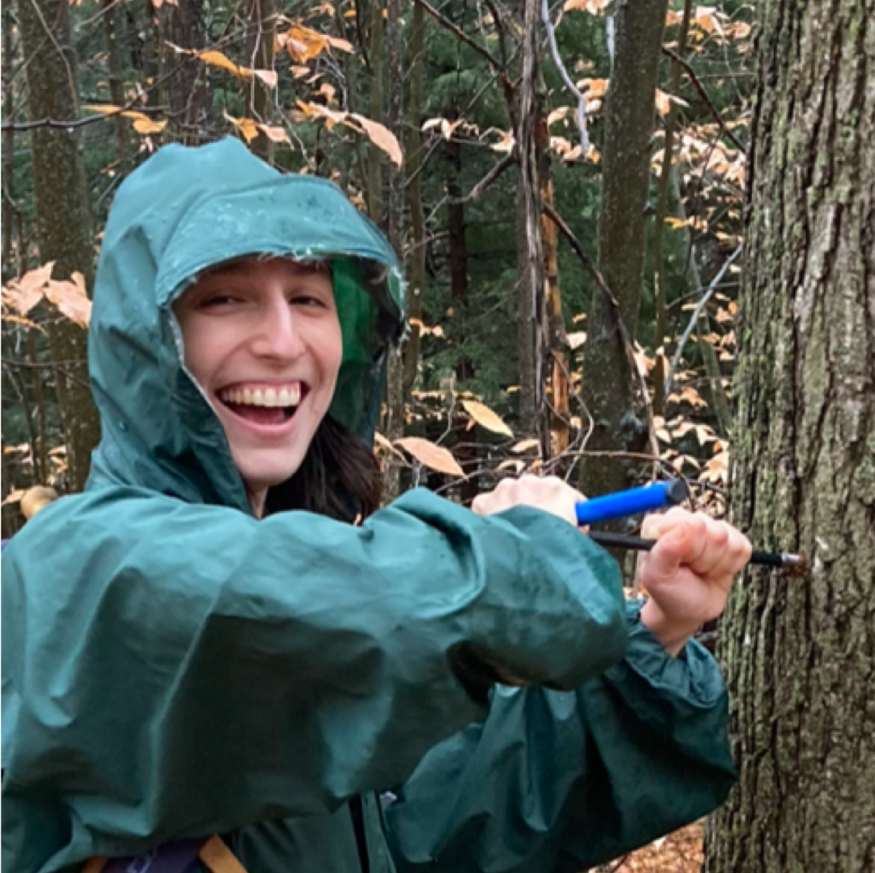 Graduate Student Rachel Swanwick using tree coring instrument.