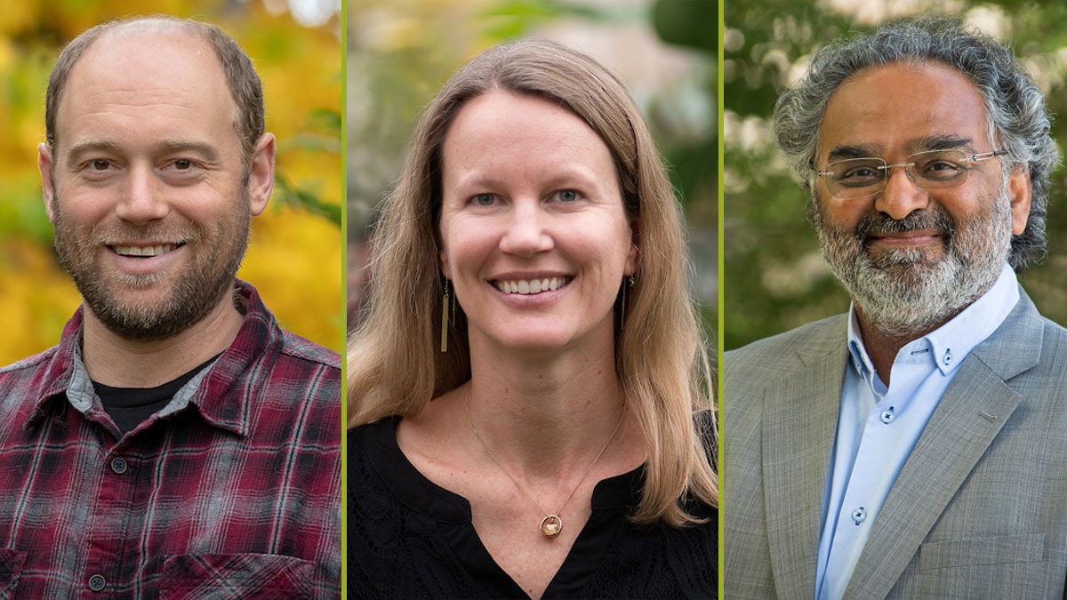 Cal's Roles What's Buzzing ArchiveCALS Leadership Appointments Announced