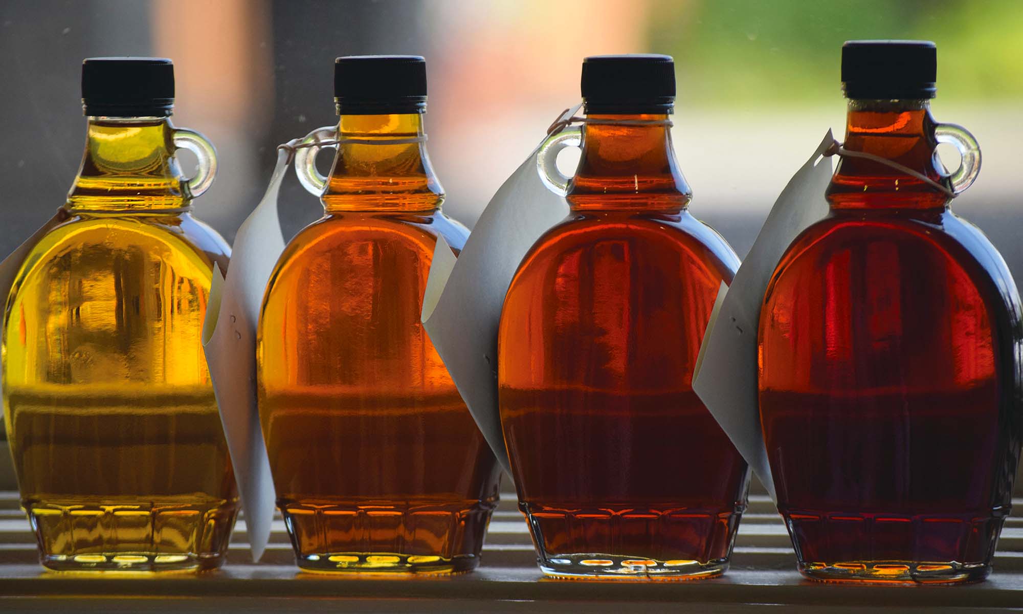 Four bottles of maple syrup on a window sill, arranged from light to dark amber.